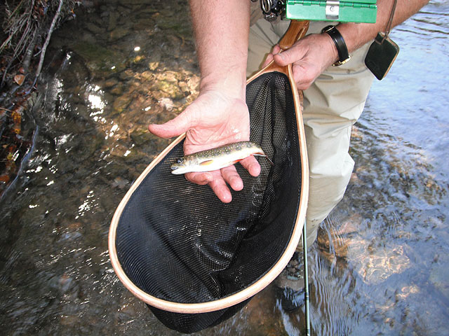 CAMP OCT2011 002.jpg - First catch.....
